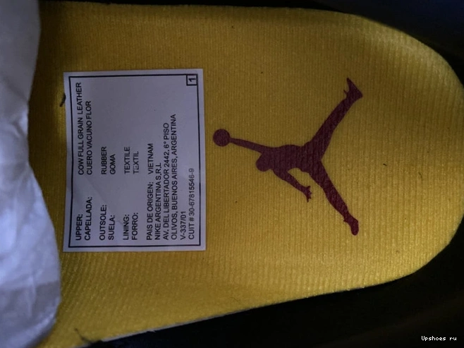 Retro CV3583-003 Air 2.0 SE 3 Instinct Animal Jordan 0401